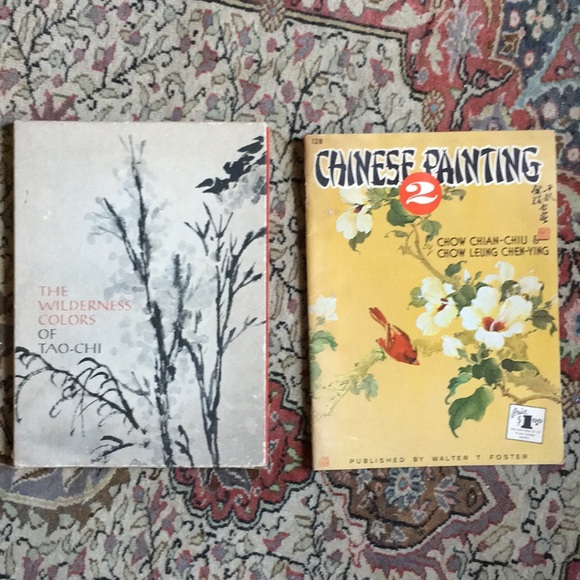 Two Rare Chinese drawing and appreciation books - Picture 1 of 9